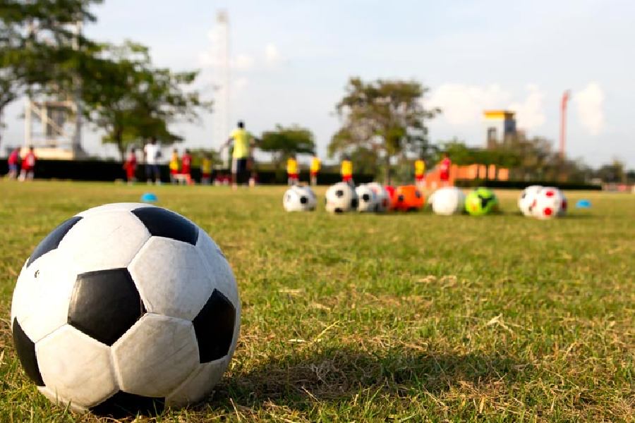 the telegraph sports